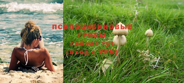 спиды Арсеньев
