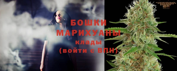спиды Арсеньев