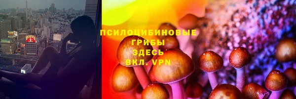 эйфоретик Армянск