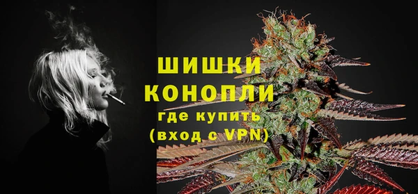 бошки Аркадак